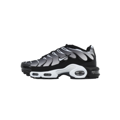 EM Sneakers Nike Air Max Plus Black Metallic Silver 01