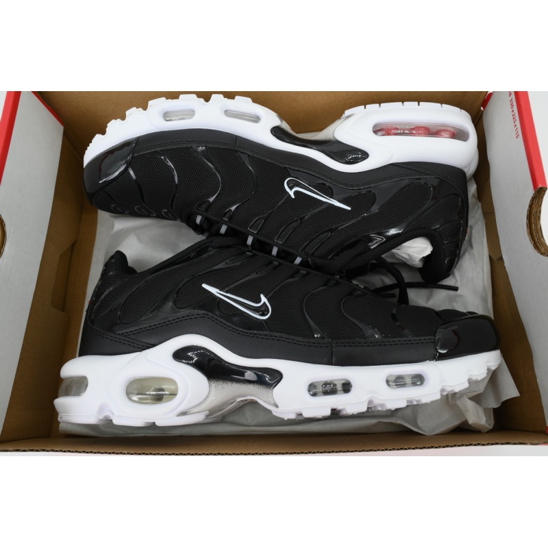 EM Sneakers Nike Air Max Plus Black White