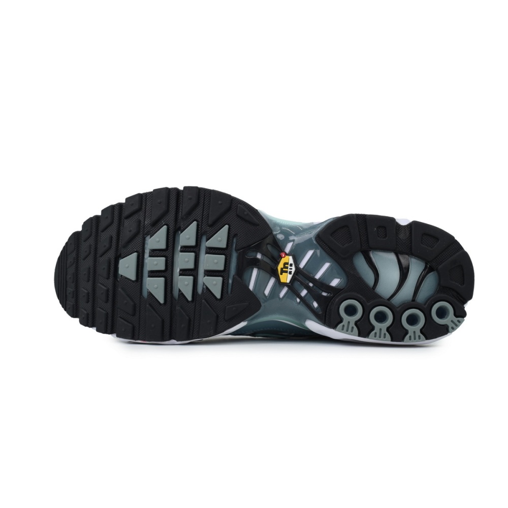 EM Sneakers Nike Air Max Plus Palm Pack - Waterway