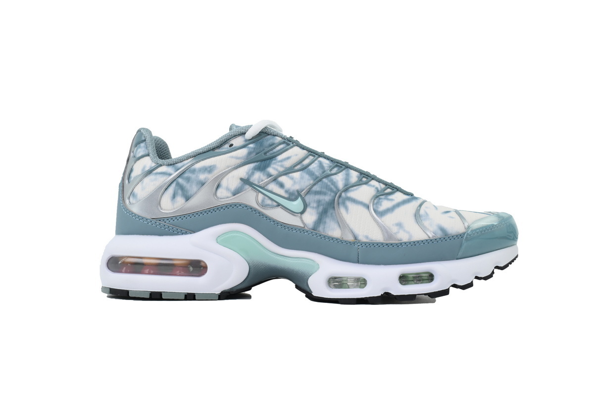 EM Sneakers Nike Air Max Plus Palm Pack - Waterway