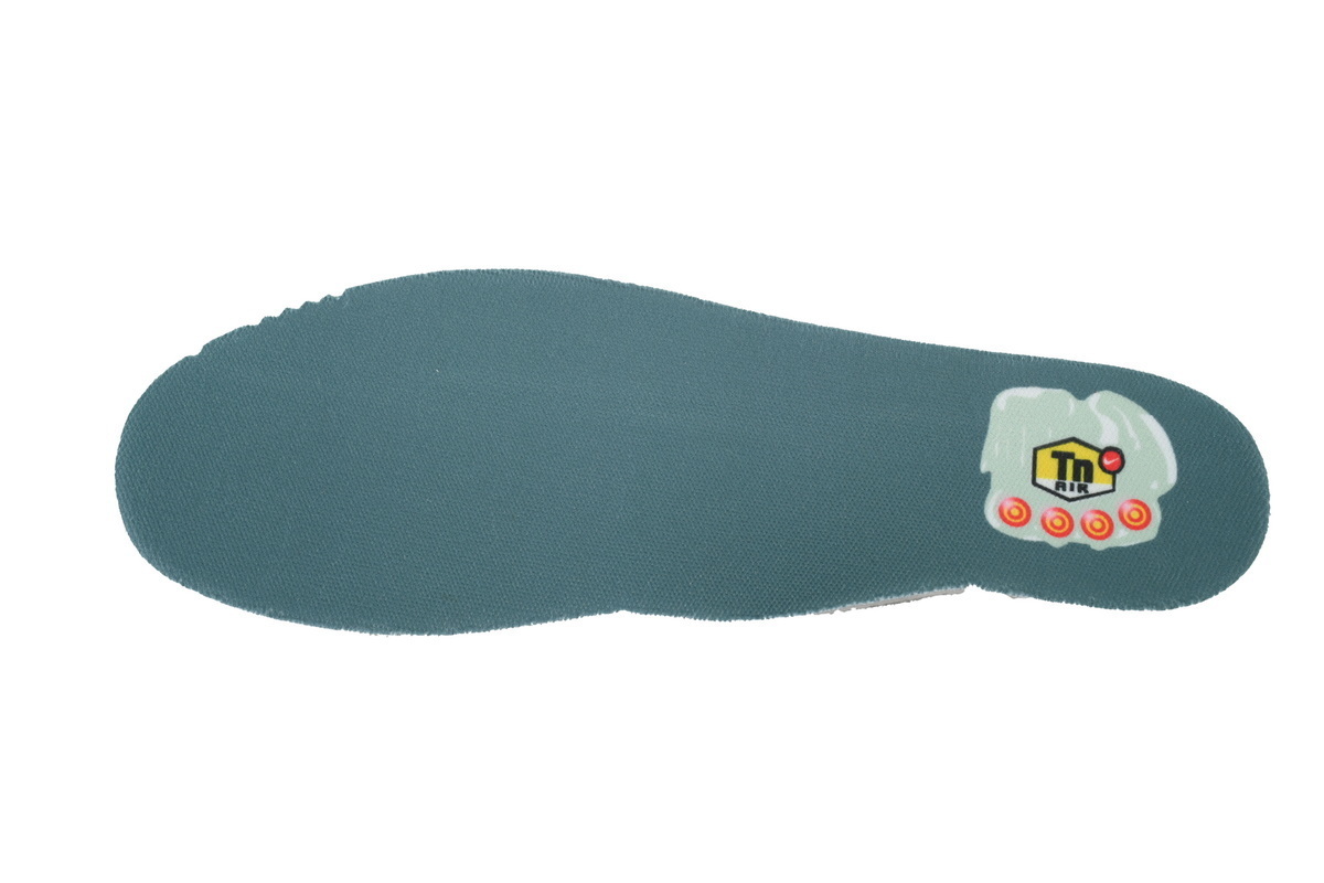 EM Sneakers Nike Air Max Plus Palm Pack - Waterway