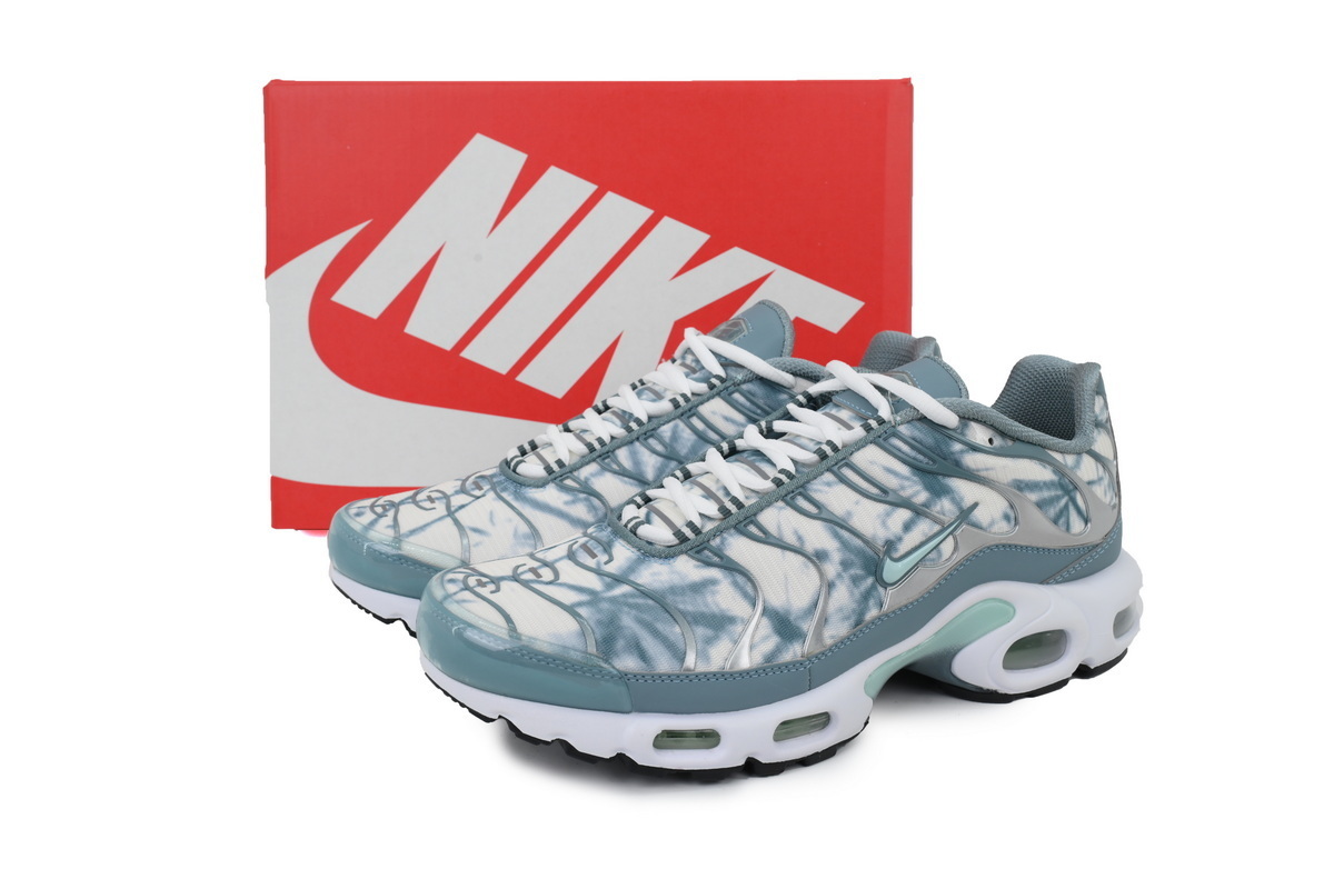 EM Sneakers Nike Air Max Plus Palm Pack - Waterway