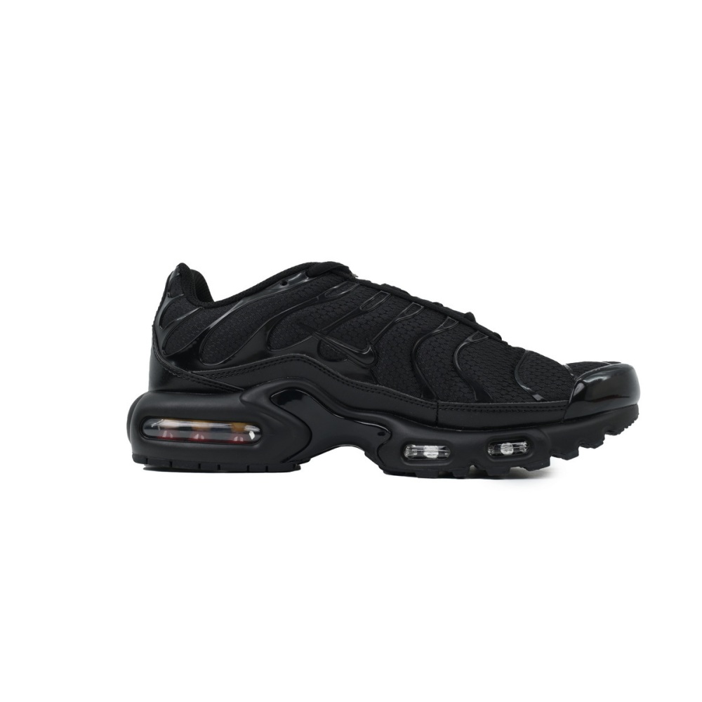 EM Sneakers Nike Air Max Plus Triple Black