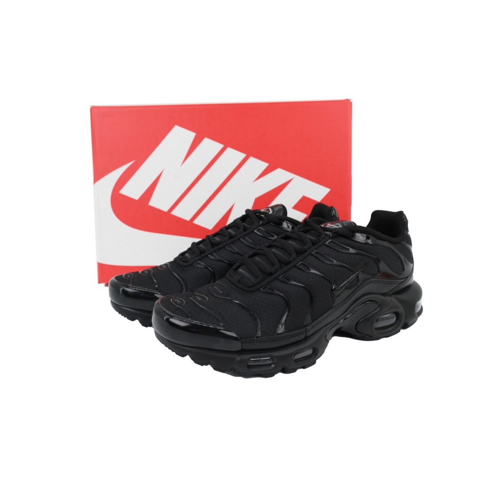 EM Sneakers Nike Air Max Plus Triple Black
