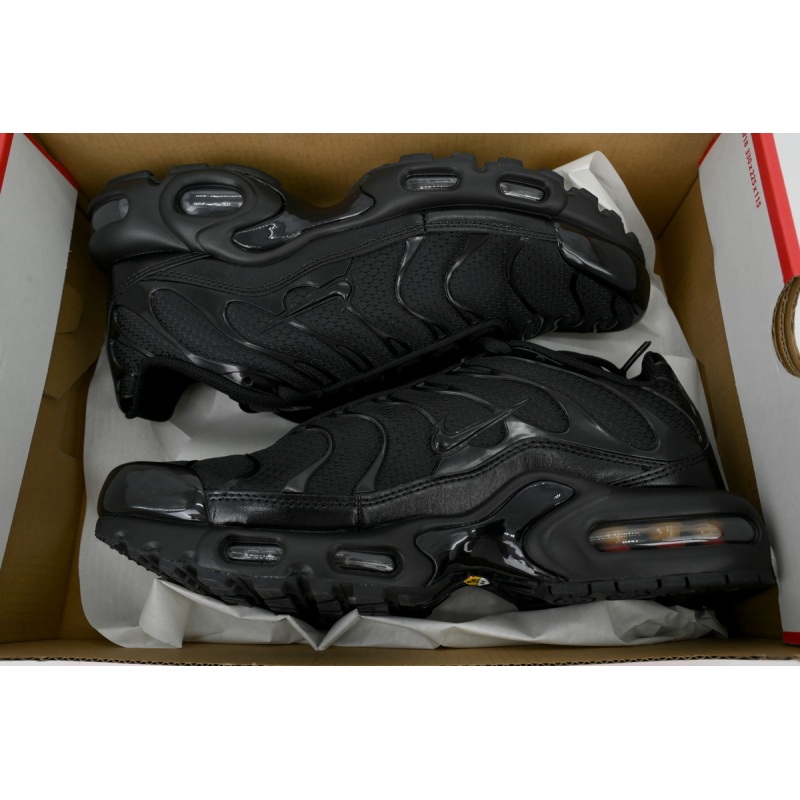 EM Sneakers Nike Air Max Plus Triple Black