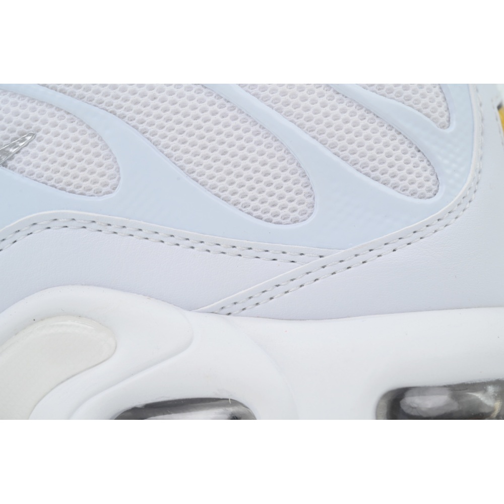 EM Sneakers Nike Air Max Plus White