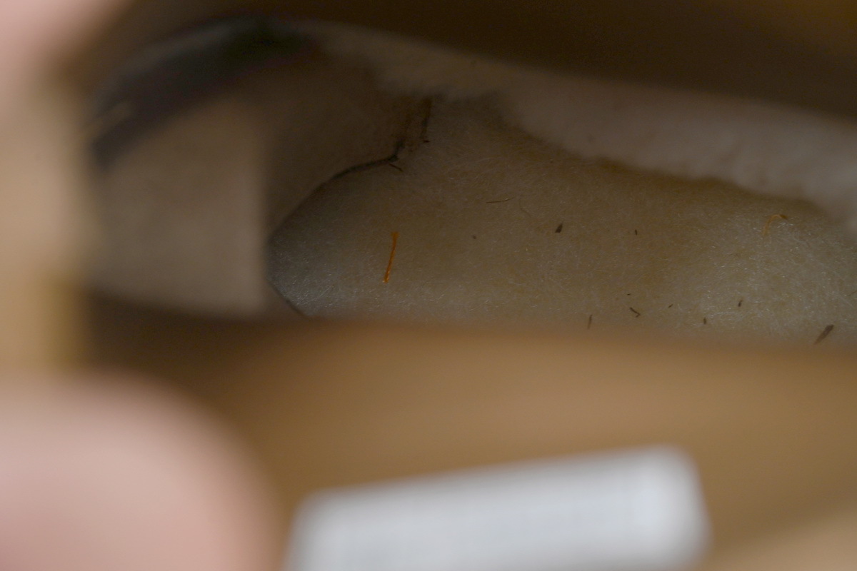 EM Sneakers UGG Classic Dipper Platform Boot Brown