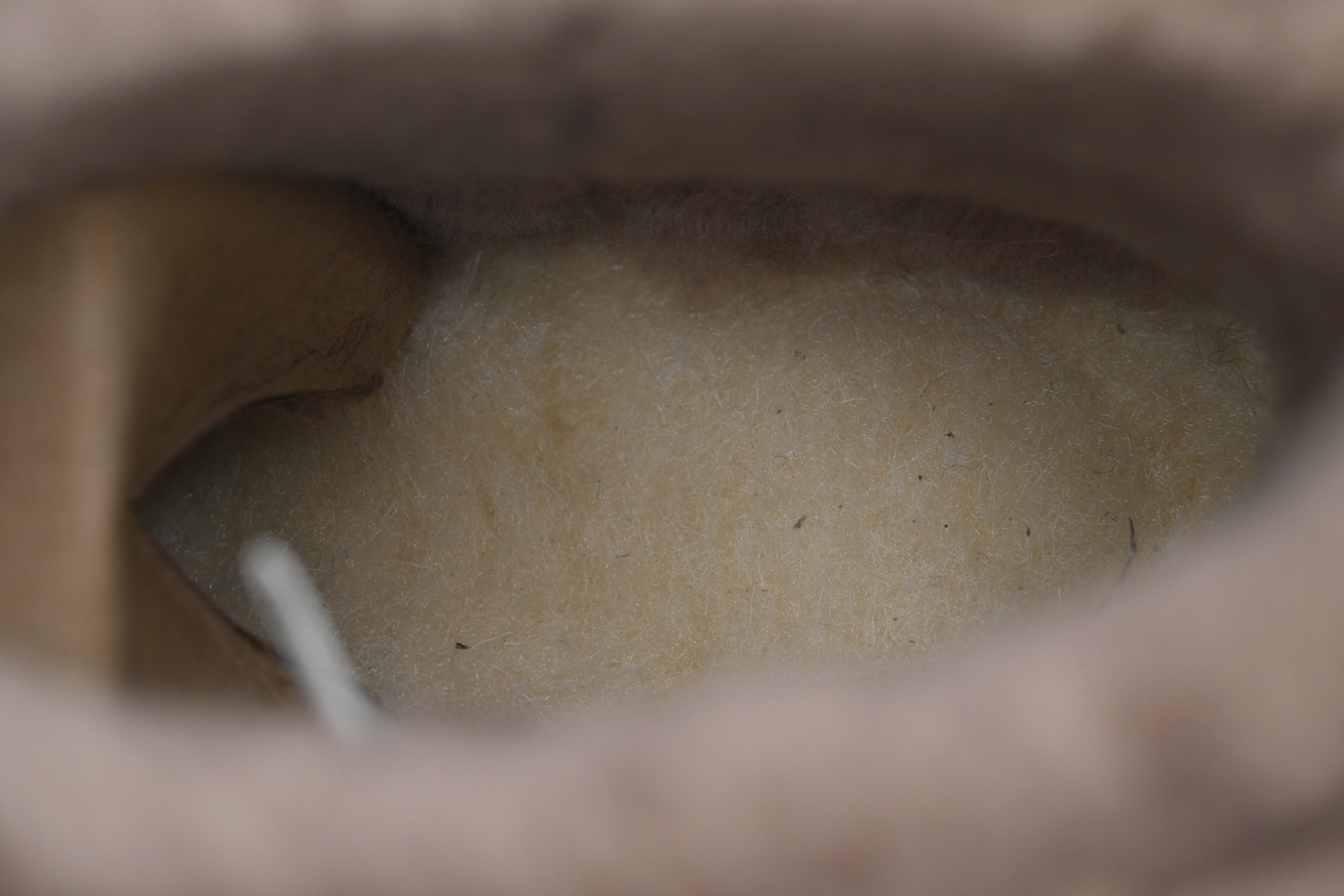 EM Sneakers UGG Classic Ultra Mini Mid-Top Boot Brown