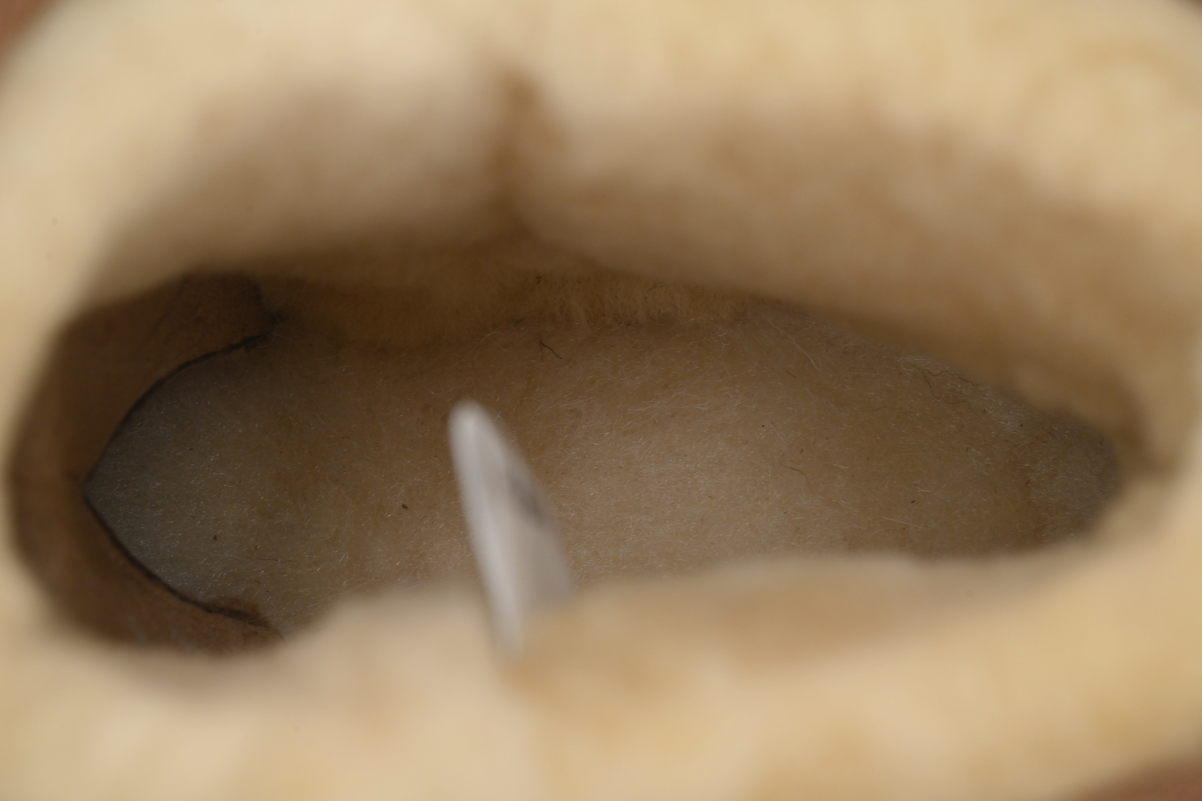 EM Sneakers UGG Classic Ultra Mini Mid-Top Boot Maroon