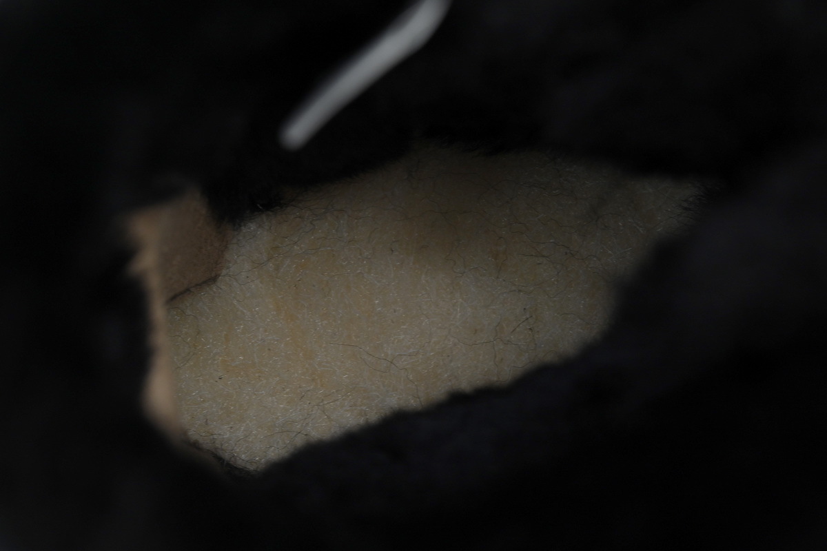 EM Sneakers UGG Mini Bailey Suede Bow Boot Black