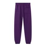 EM Sneakers Sp5der Hoodie & Sweatpant Set Star OG Web V2 Purple
