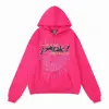 EM Sneakers Sp5der P*NK Hoodie Pink