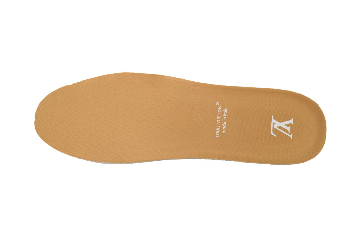 EM Sneakers Louis Vuitton LV Trainer Brown Skin With White Background