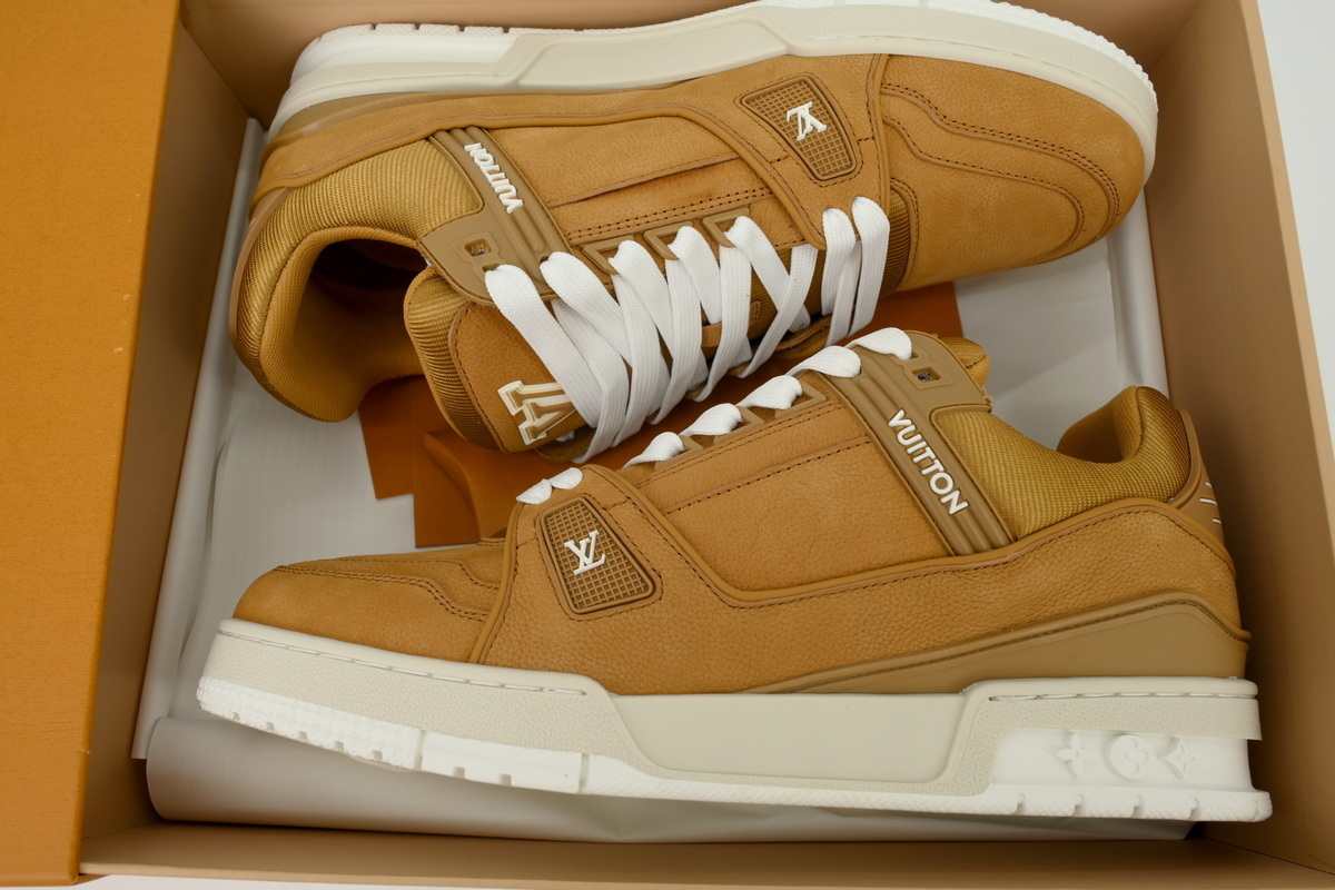 EM Sneakers Louis Vuitton LV Trainer Brown Skin With White Background