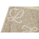 EM Sneakers Loewe Checkerboard Scarf Brown