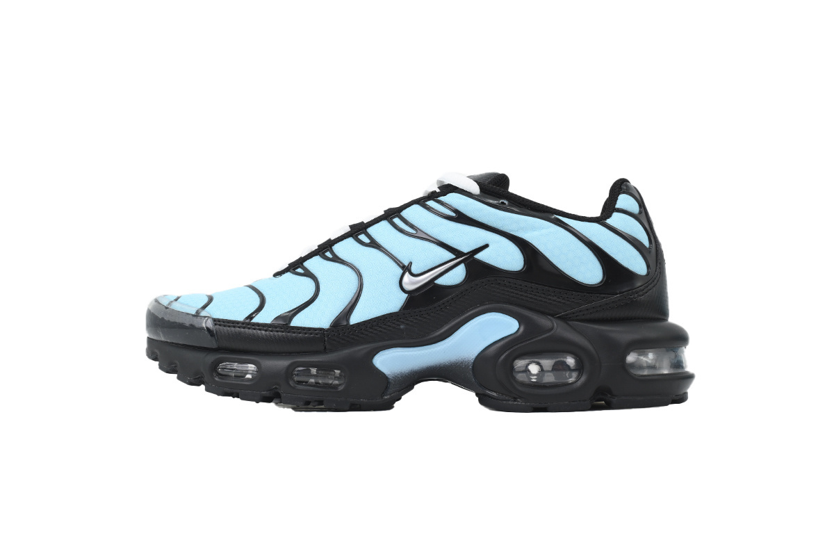 EM Sneakers Nike Air Max Plus Aqua Silver