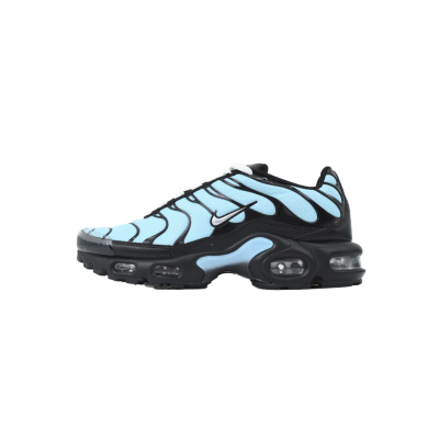 EM Sneakers Nike Air Max Plus Aqua Silver 01