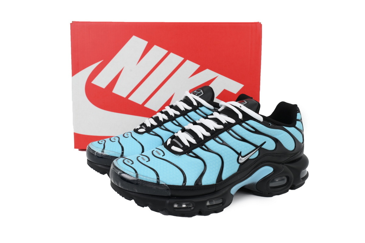 EM Sneakers Nike Air Max Plus Aqua Silver