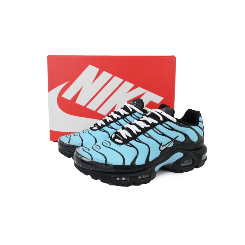 EM Sneakers Nike Air Max Plus Aqua Silver
