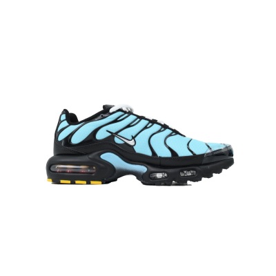 EM Sneakers Nike Air Max Plus Aqua Silver 02
