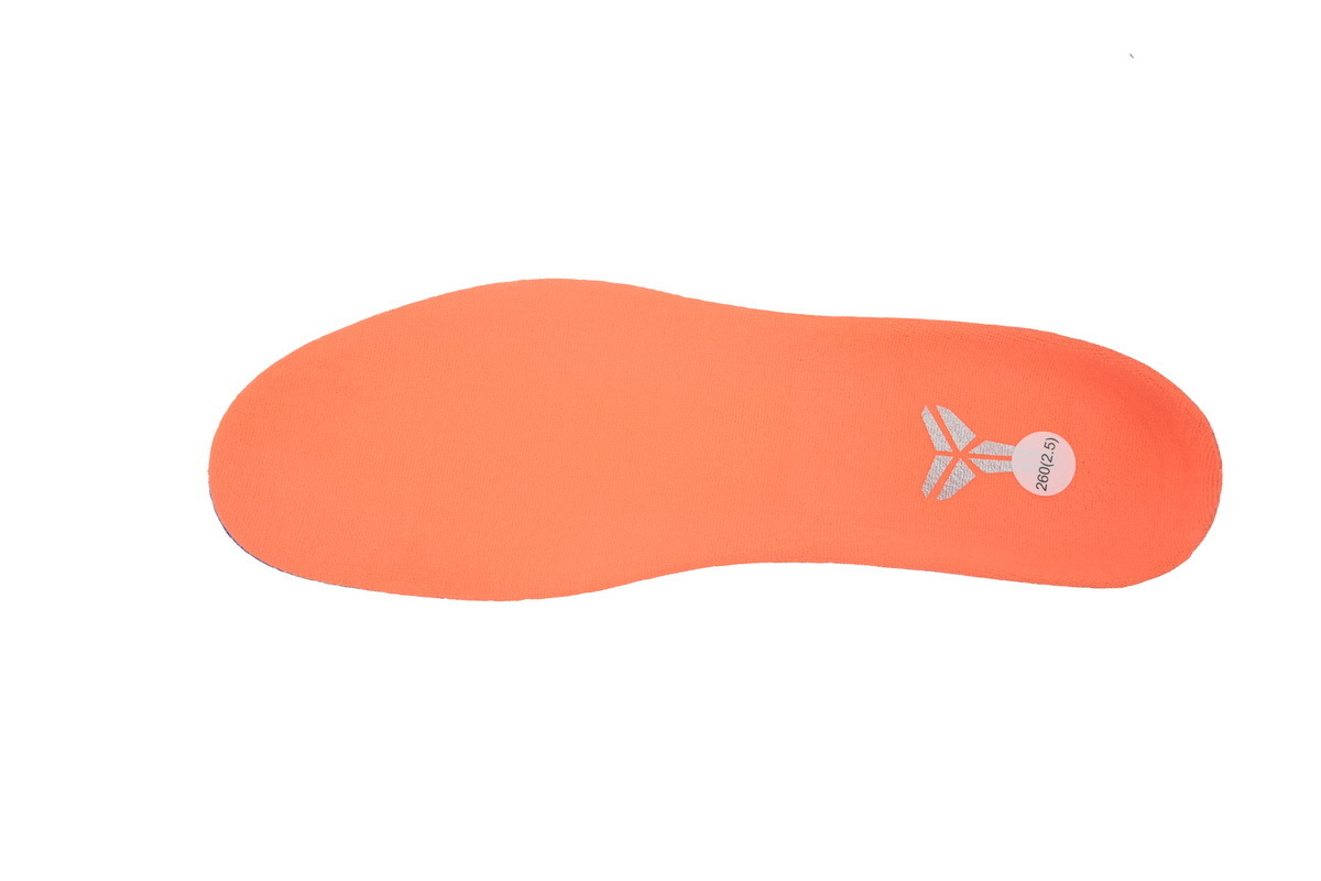 EM Sneakers Nike Kobe 6 Protro WNBA