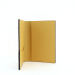 EM Sneakers Louis Vuitton LV Passport Cover Monogram Eclipse Gaston Label Savane Yellow