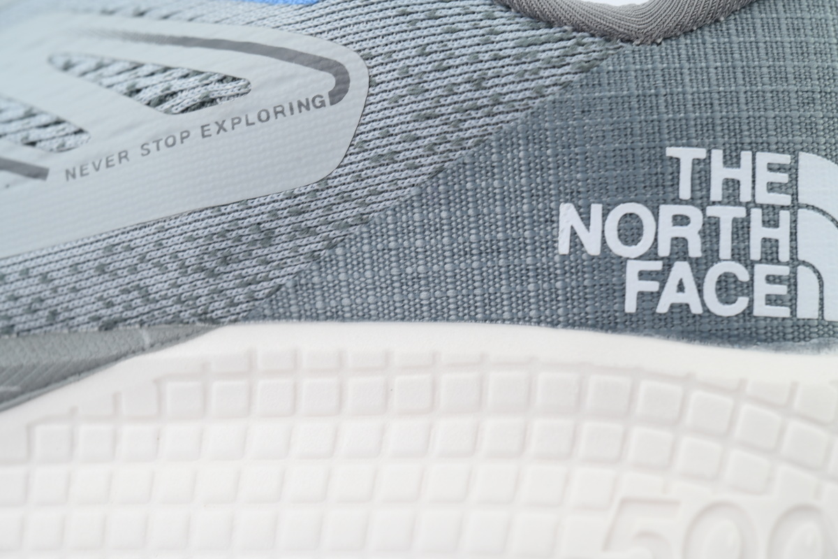 EM Sneakers The North Face Altamesa 500 Grey