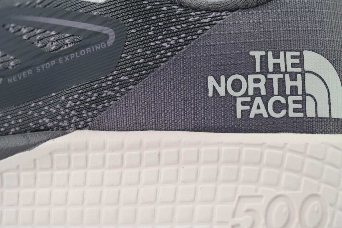 EM Sneakers The North Face Altamesa 500 Moon Rock Purple