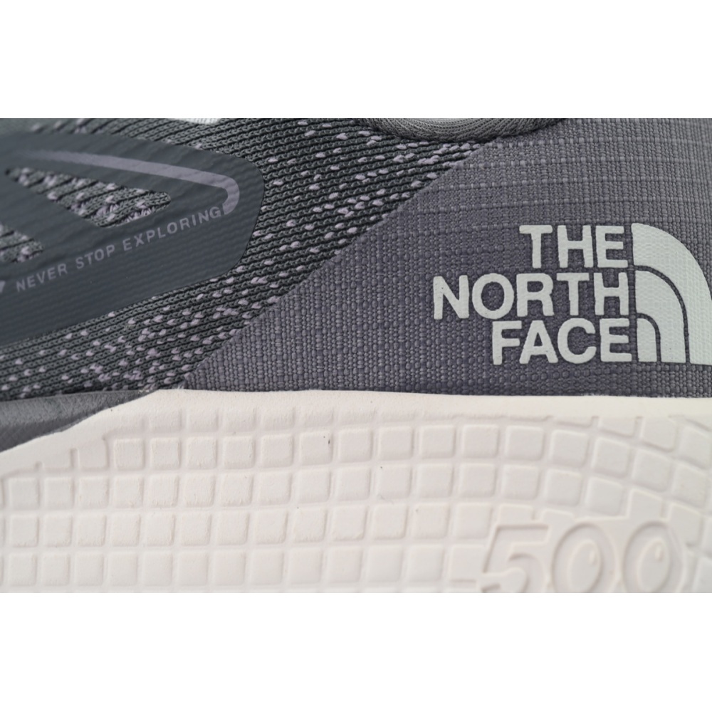 EM Sneakers The North Face Altamesa 500 Moon Rock Purple