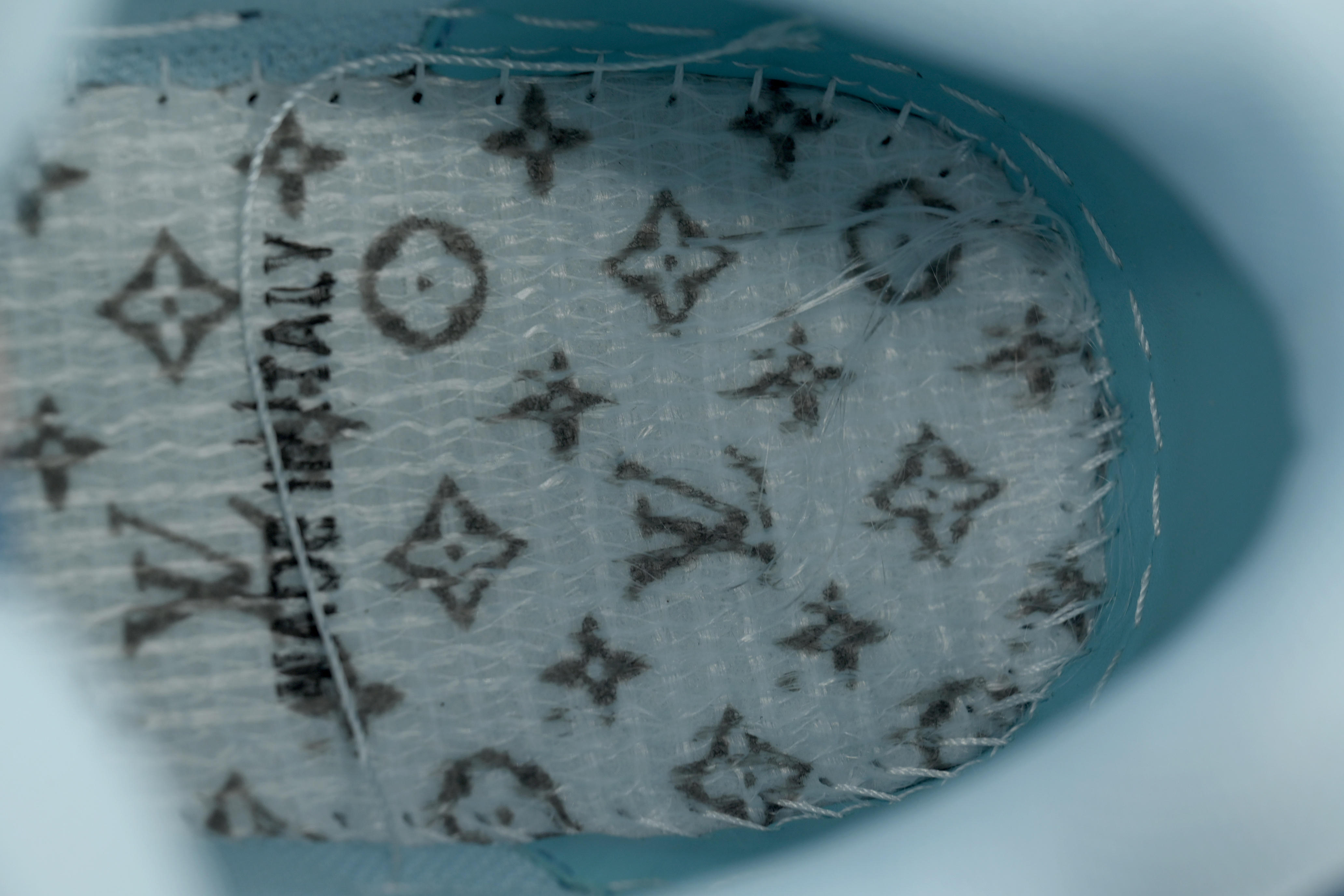 EM Sneakers Louis Vuitton LV Skate Blue