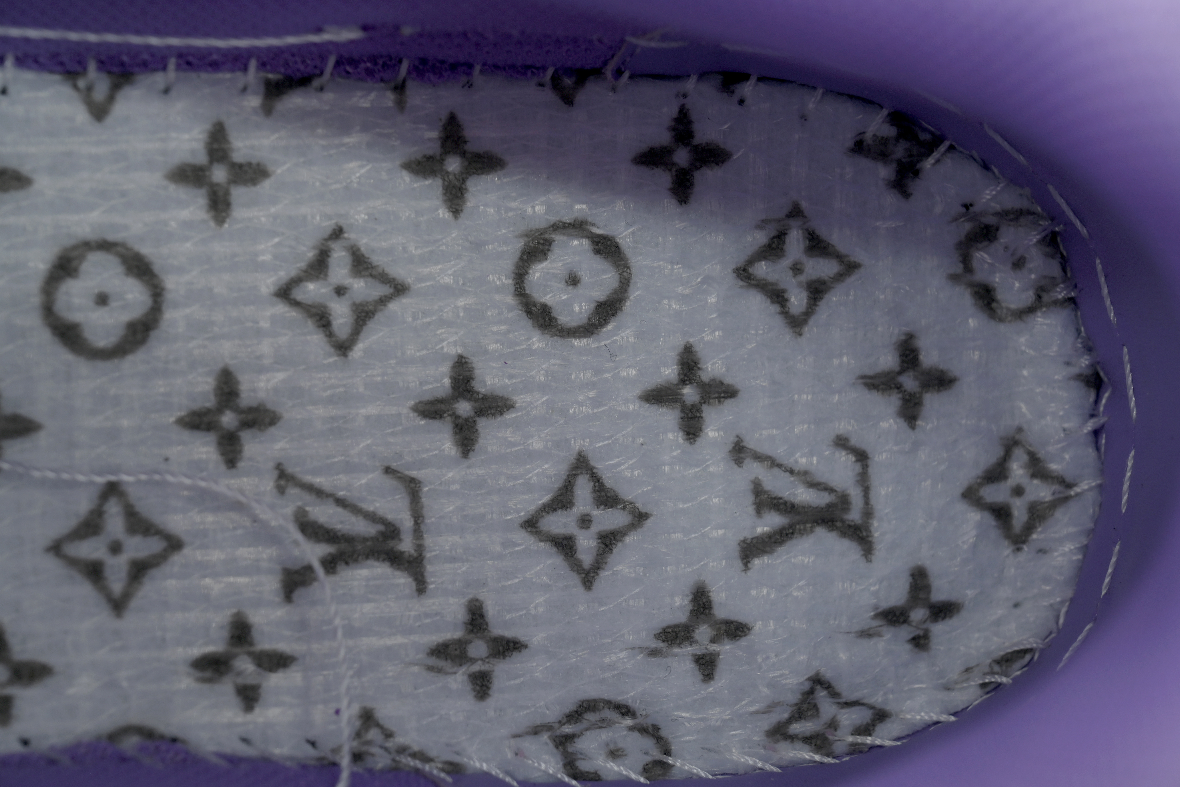 EM Sneakers Louis Vuitton LV Skate Purple