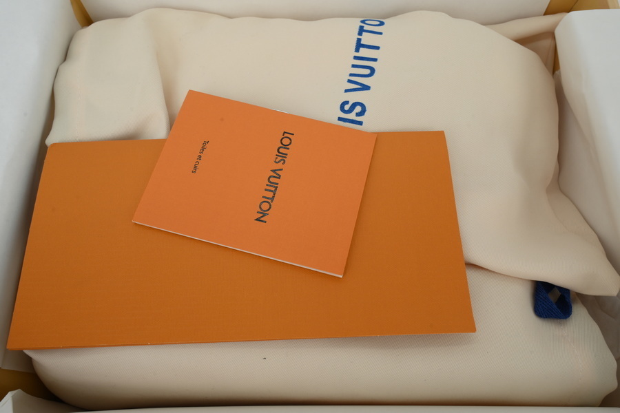 EM Sneakers Louis Vuitton LV Tilted Sneaker Grey Print