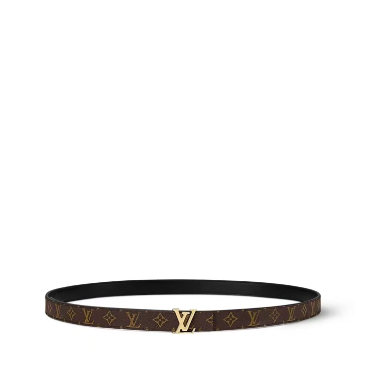 EM Sneakers Louis Vuitton LV Iconic 20mm Reversible Belt Monogram Canvas Recto Side Brown
