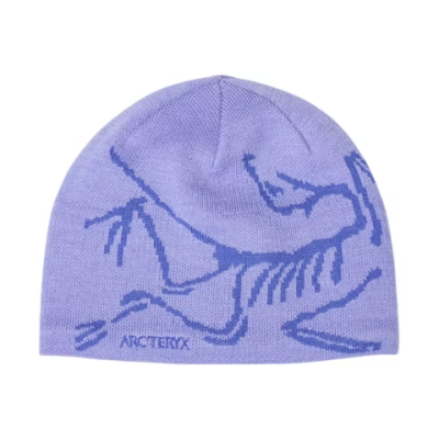 EM Sneakers Arc'teryx Bird Head Toque Beanie Moonstone/Electra 01