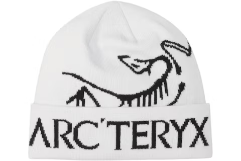 EM Sneakers Arc'teryx Bird Word Toque Beanie (FW25) Orca