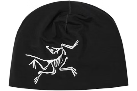 EM Sneakers Arc'teryx Satoro Merino Toque Beanie Black/Arctic Silk