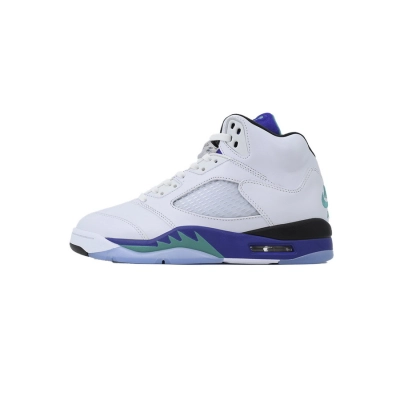 EM Sneakers Air Jordan 5 Retro Grape (2025) 01