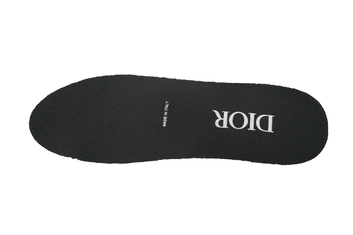 EM Sneakers Dior B22 Black Silver 