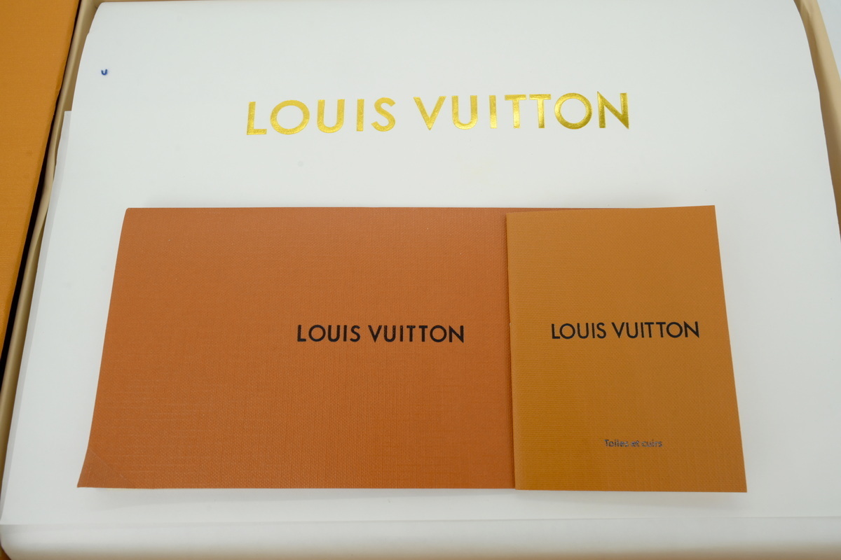 EM Sneakers Louis Vuitton LV Skate Plum Blossom Drill in Black