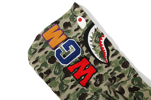 EM Sneakers BAPE 10th Anniversary Limited Edition Full-Zip Hoodie Chinese Ink-Style Green Camouflage