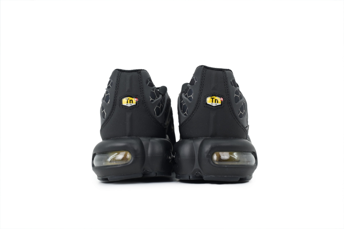 EM Sneakers Nike Air Max Plus Honey
