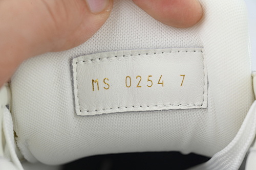 EM Sneakers Louis Vuitton Trainer(NFC Chip Edition)Gray