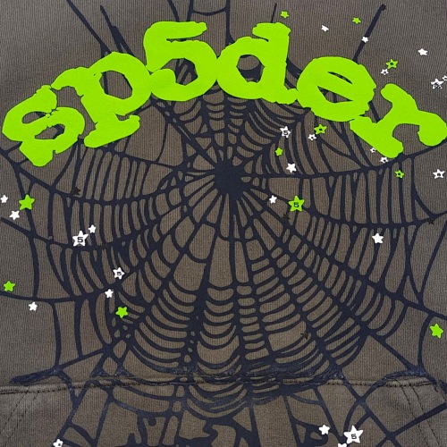 EM Sneakers Sp5der Wait Web Hoodie Slate Grey
