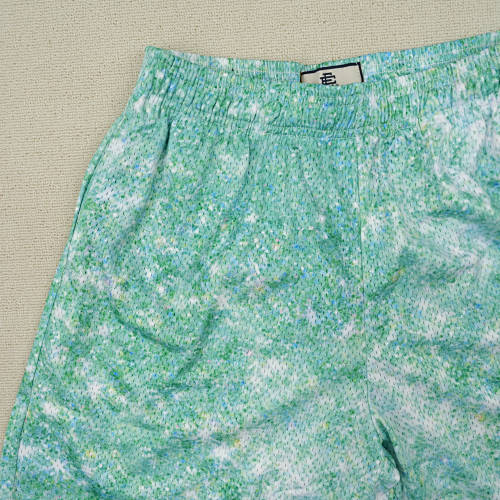 EM Sneakers Eric Emanuel EE Basic/Core Shorts Green Sparkle/Green