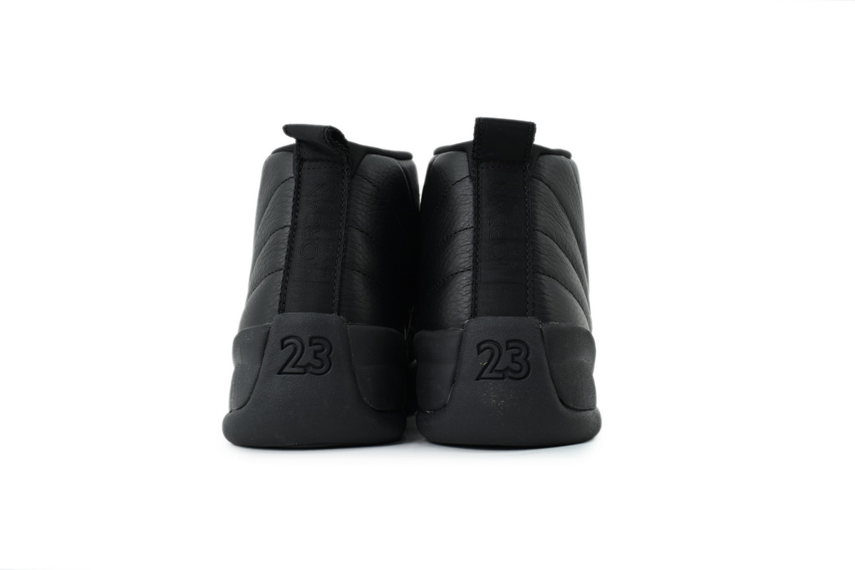 EM Sneakers Air Jordan 12 Retro Black Cat