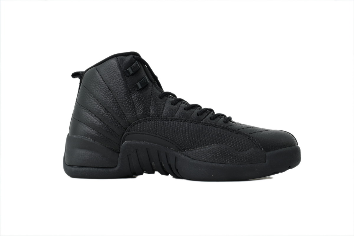 EM Sneakers Air Jordan 12 Retro Black Cat