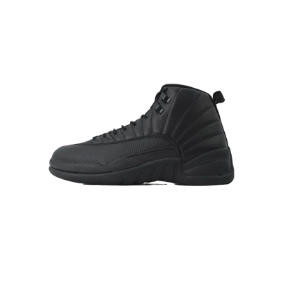 EM Sneakers Air Jordan 12 Retro Black Cat 01