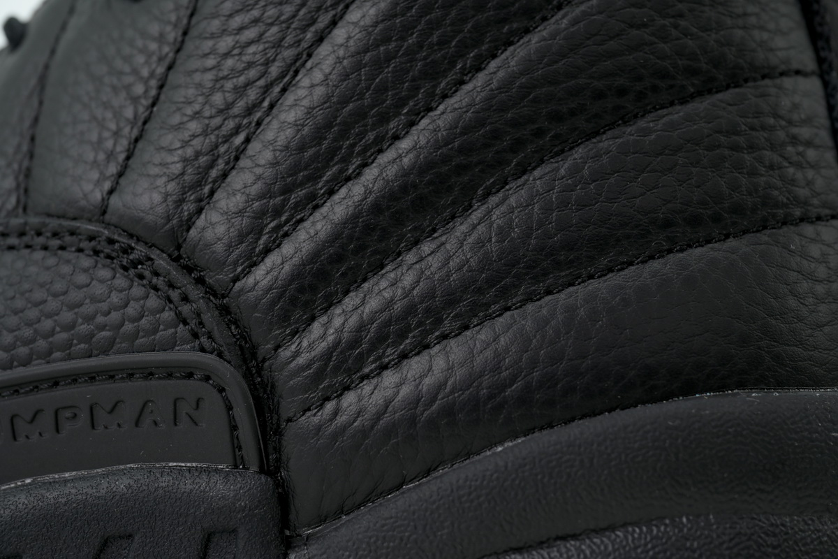 EM Sneakers Air Jordan 12 Retro Black Cat