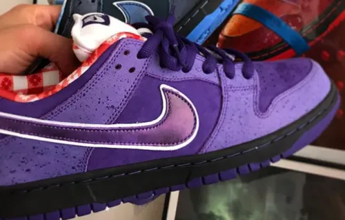 EM Sneakers Nike SB Dunk Low Concepts Purple Lobster review 