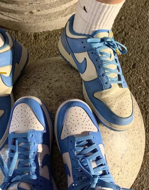 EM Sneakers Nike Dunk Low UNC (2021) review 